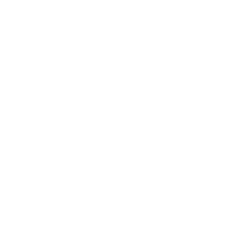 1Vision.png